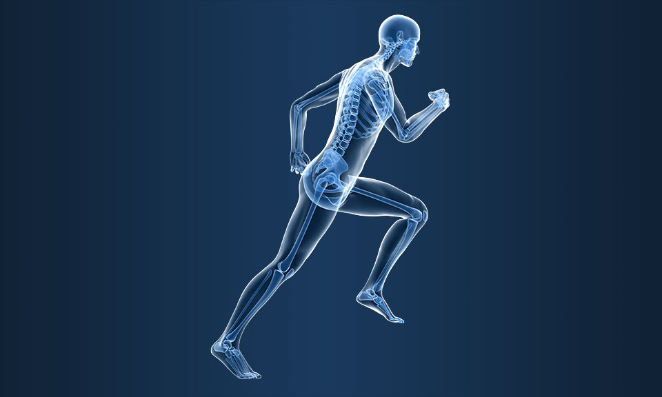 Gait Identification based on Local Graphical Feature
